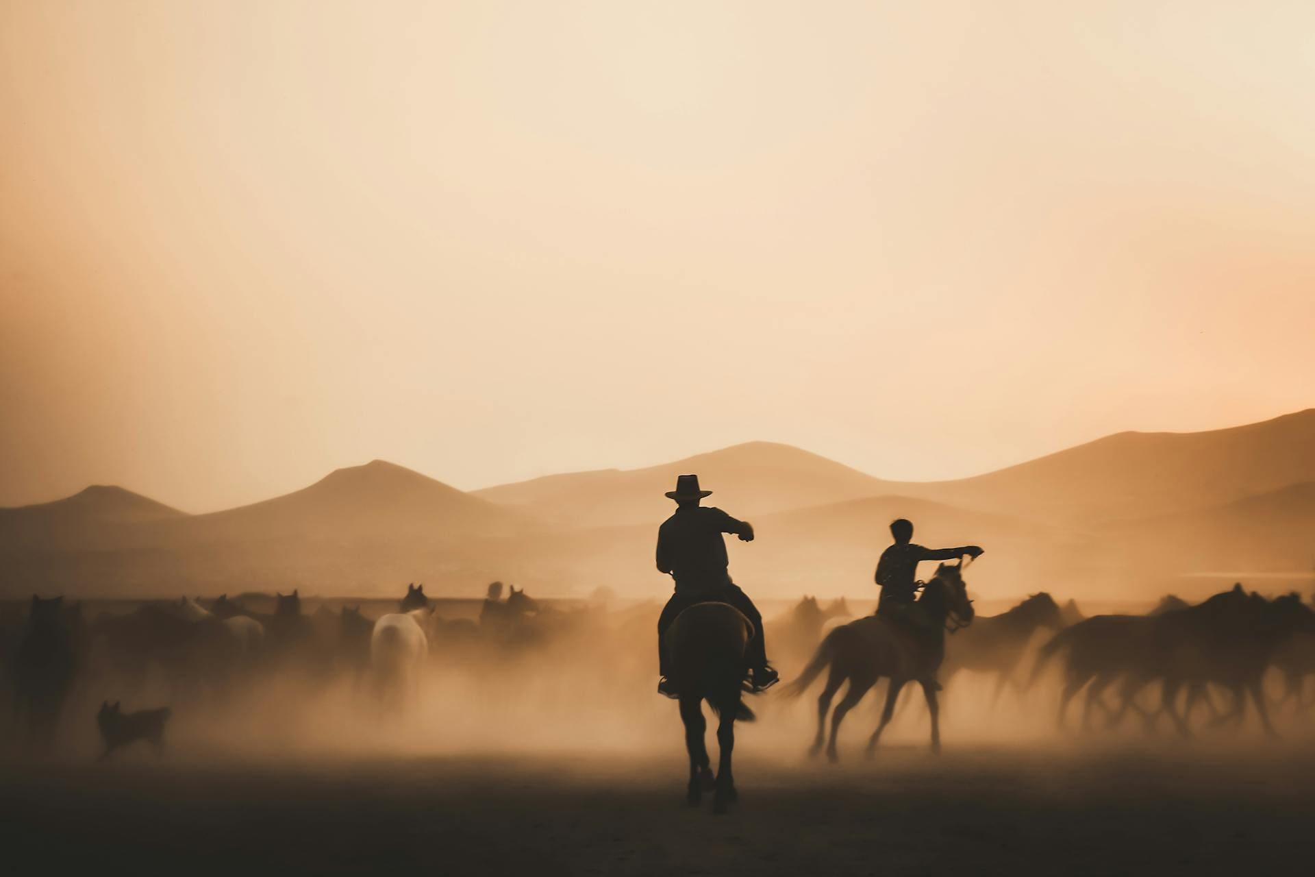 About Us 1 Outlaws Revenge About Us and Our Mission - Cowboys with Horses Herd